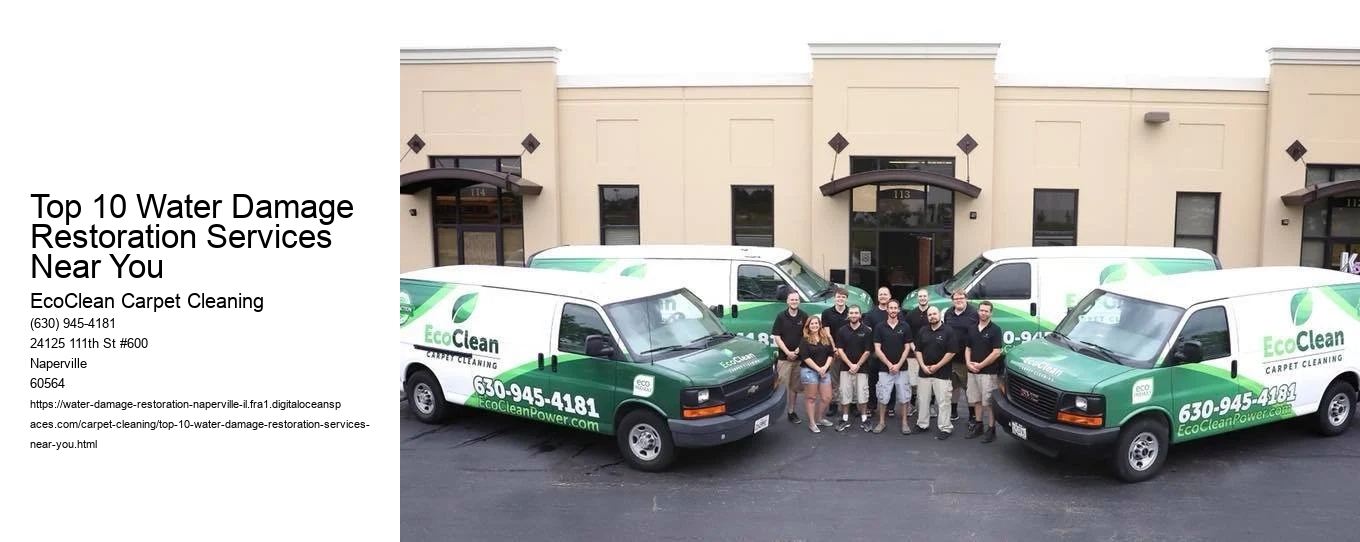Top 10 Water Damage Restoration Services Near You