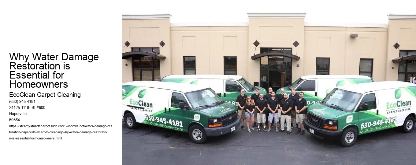 Why Water Damage Restoration is Essential for Homeowners